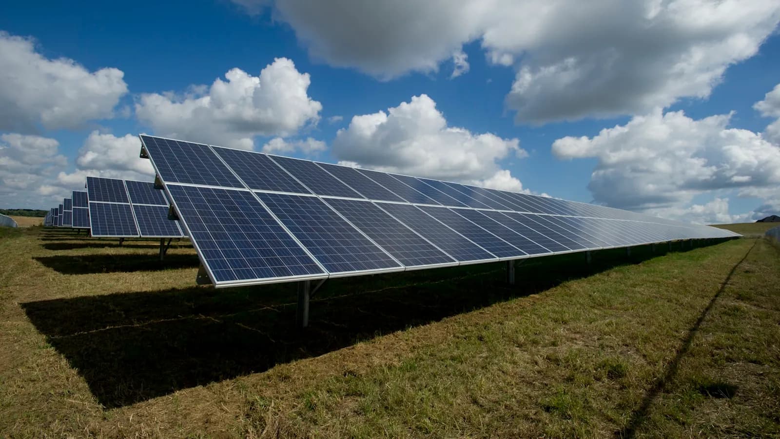 Paneles solares fotovoltaicos instalados en un terreno.