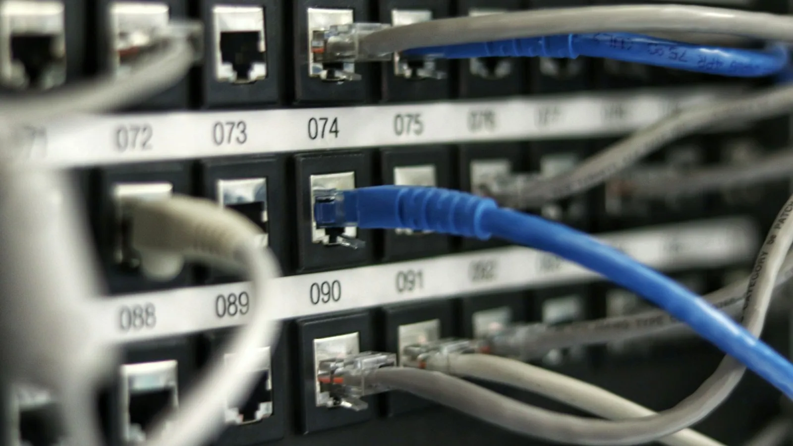 Panel de conexiones de red con cables de red.